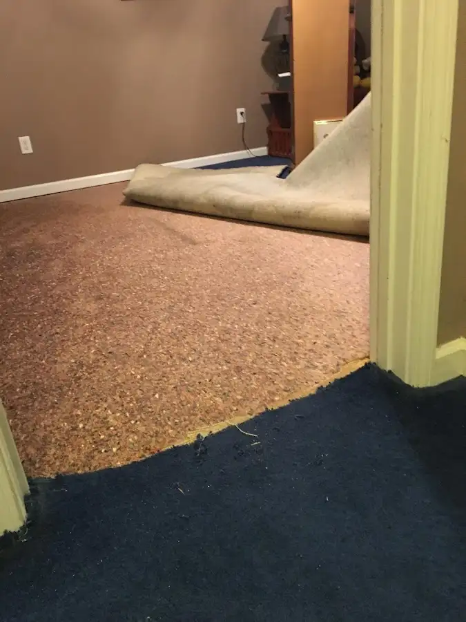 Carpet pad removal revealing water damage during Water Mitigation Services in Humble