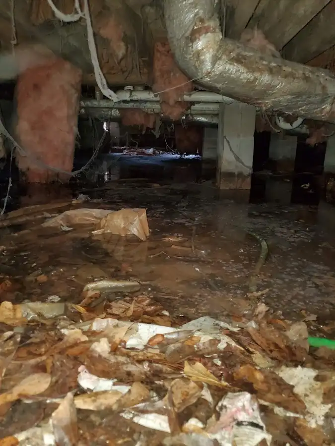 Crawl space flood assessment for Leak Detection & Repair in Humble